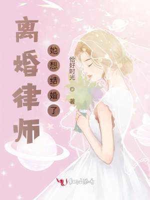 离婚律师的恋爱